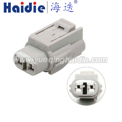 Auto Wiring Harness Electric Housing Connector HD024Y-2.2-21